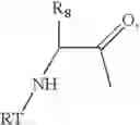 Fig. 907 - Inhibitors of serine proteases