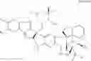 Fig. 02 - derivatives