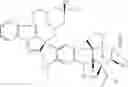 Fig. 06 - derivatives