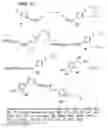 Fig. 08 - β2-adrenergic receptor agonists