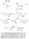 Fig. 09 - β2-adrenergic receptor agonists
