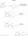 Fig. 31 - Disubstituted phenylpiperidines as modulators of dopamine and serotonin neurotransmission