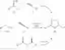 Fig. 08 - Additional heteropolycyclic compounds and their use as metabotropic glutamate receptor antagonists
