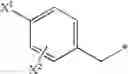 Fig. 06 - HIV integrase inhibitors