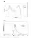 Fig. 02 - Molecular-wire type fluorescent chiral sensor