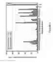 Fig. 06 - BoNT/A peptides and methods of predicting and reducing immunoresistance to botulinum toxin therapy