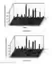 Fig. 24 - BoNT/A peptides and methods of predicting and reducing immunoresistance to botulinum toxin therapy