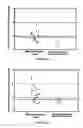 Fig. 27 - BoNT/A peptides and methods of predicting and reducing immunoresistance to botulinum toxin therapy