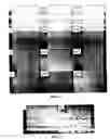 Fig. 03 - Extraction process for a pharmaceutical product