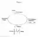 Fig. 02 - Triphosphate oligonucleotide modification reagents and uses thereof