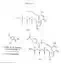 Fig. 06 - Triphosphate oligonucleotide modification reagents and uses thereof