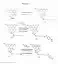 Fig. 07 - Triphosphate oligonucleotide modification reagents and uses thereof