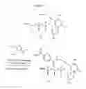 Fig. 08 - Triphosphate oligonucleotide modification reagents and uses thereof