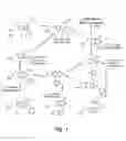 Fig. 02 - Multicore indazolinone library