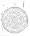 Fig. 03 - Magnetic field applicator system