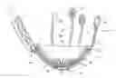 Fig. 01 - Device to permit offpump beating heart coronary bypass surgery