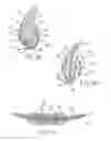 Fig. 07 - Device to permit offpump beating heart coronary bypass surgery