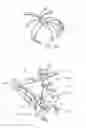 Fig. 12 - Device to permit offpump beating heart coronary bypass surgery