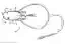 Fig. 01 - OPHTHALMIC SULCUS SPECULUM