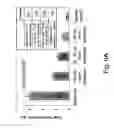 Fig. 07 - Method of recognizing abnormal tissue using the detection of early increase in microvascular blood content