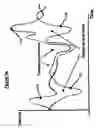 Fig. 04 - Global cardiac performance