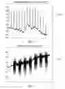 Fig. 04 - Method and System for Detecting and Classifying Facial Muscle Movements