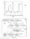 Fig. 07 - Method and System for Detecting and Classifying Facial Muscle Movements