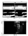 Fig. 06 - Apparatus for applying a plurality of electro-magnetic radiations to a sample