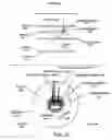 Fig. 13 - Apparatus for applying a plurality of electro-magnetic radiations to a sample