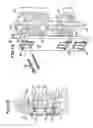 Fig. 06 - Spinal fusion system and method for fusing spinal bones