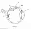 Fig. 02 - Surgical support structure