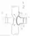 Fig. 07 - Surgical clamp with improved traction