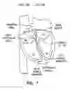 Fig. 02 - Method and apparatus for optimizing stroke volume during DDD resynchronization therapy using adjustable atrio-ventricular delays