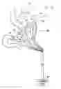 Fig. 04 - Gastrointestinal methods and apparatus for use in treating disorders