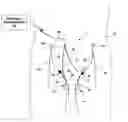 Fig. 01 - Electrical stimulation to alleviate chronic pelvic pain