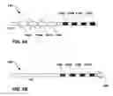 Fig. 10 - Electrical stimulation to alleviate chronic pelvic pain