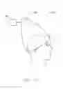 Fig. 16 - Wearable device and method for providing phototherapy to the brain