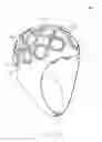 Fig. 23 - Wearable device and method for providing phototherapy to the brain