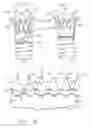 Fig. 13 - INTRALUMINAL GRAFTING SYSTEM