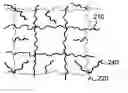 Fig. 01 - Interpenetrating polymer network hydrogel corneal prosthesis