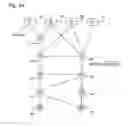 Fig. 35 - Graphical arrangement of IT network components