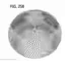 Fig. 31 - Double side wafer grinder and methods for assessing workpiece nanotopology