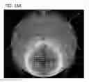 Fig. 19 - Double side wafer grinder and methods for assessing workpiece nanotopology