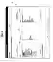 Fig. 08 - Document format and print stream modification for fabricating mailpieces