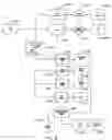 Fig. 06 - Medication therapy management process