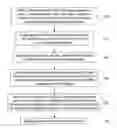 Fig. 01 - Method of assessing consumer preference tendencies based on a user's own correlated information