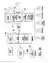 Fig. 24 - Automated banking machine system using internet address customer input