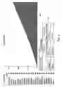 Fig. 11 - Designating data objects for analysis