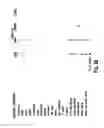 Fig. 16 - Method and apparatus for creating and categorizing exemplar structures to access information regarding a collection of objects