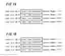 Fig. 02 - Signal processing system and routing switcher method for managing the validity of computer terminal numbers